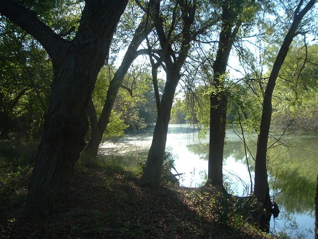 river012.jpg